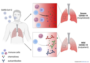 Good Autoantibodies