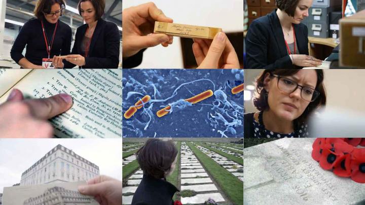 A Sample of Images Available