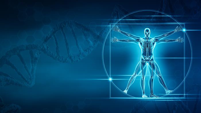 Skeletal Genetics