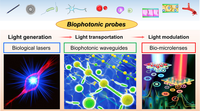 Biophotonic probes for bio-detection and bioimaging