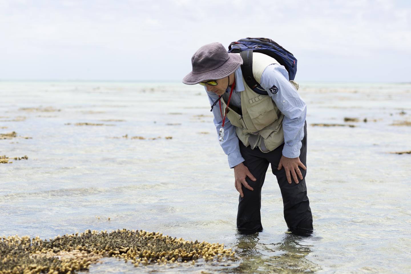 Associate Professor Jody Webster