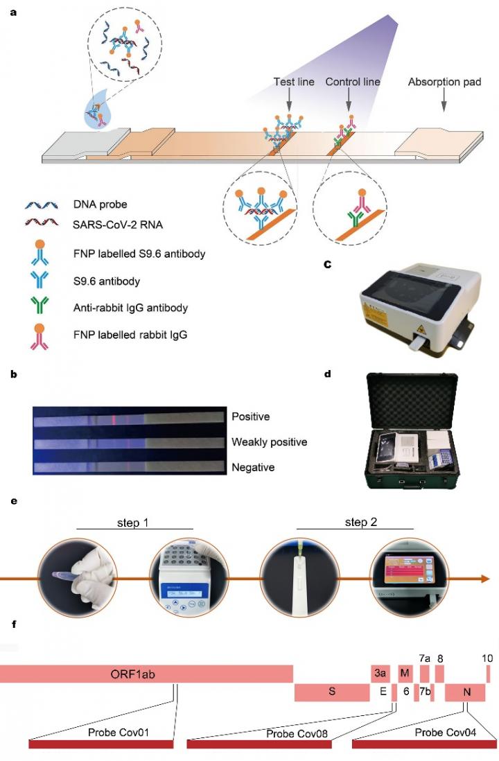 The SARS-CoV-2 HC-FIA detection system