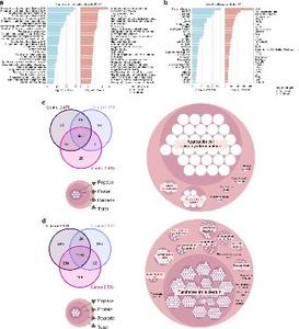 Computational proteomic analysis of host-microbe interactions in oral cancer.