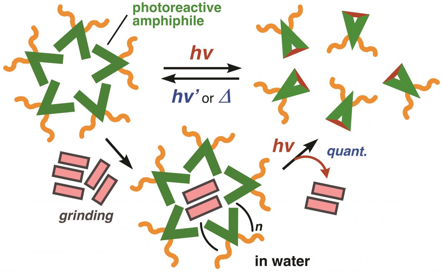 Figure 1: The Nanosized Container Quantitatively Releases the Cargo upon Light-Stimulus