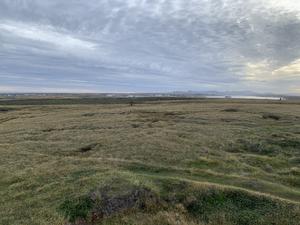 Falkland Islands landscape