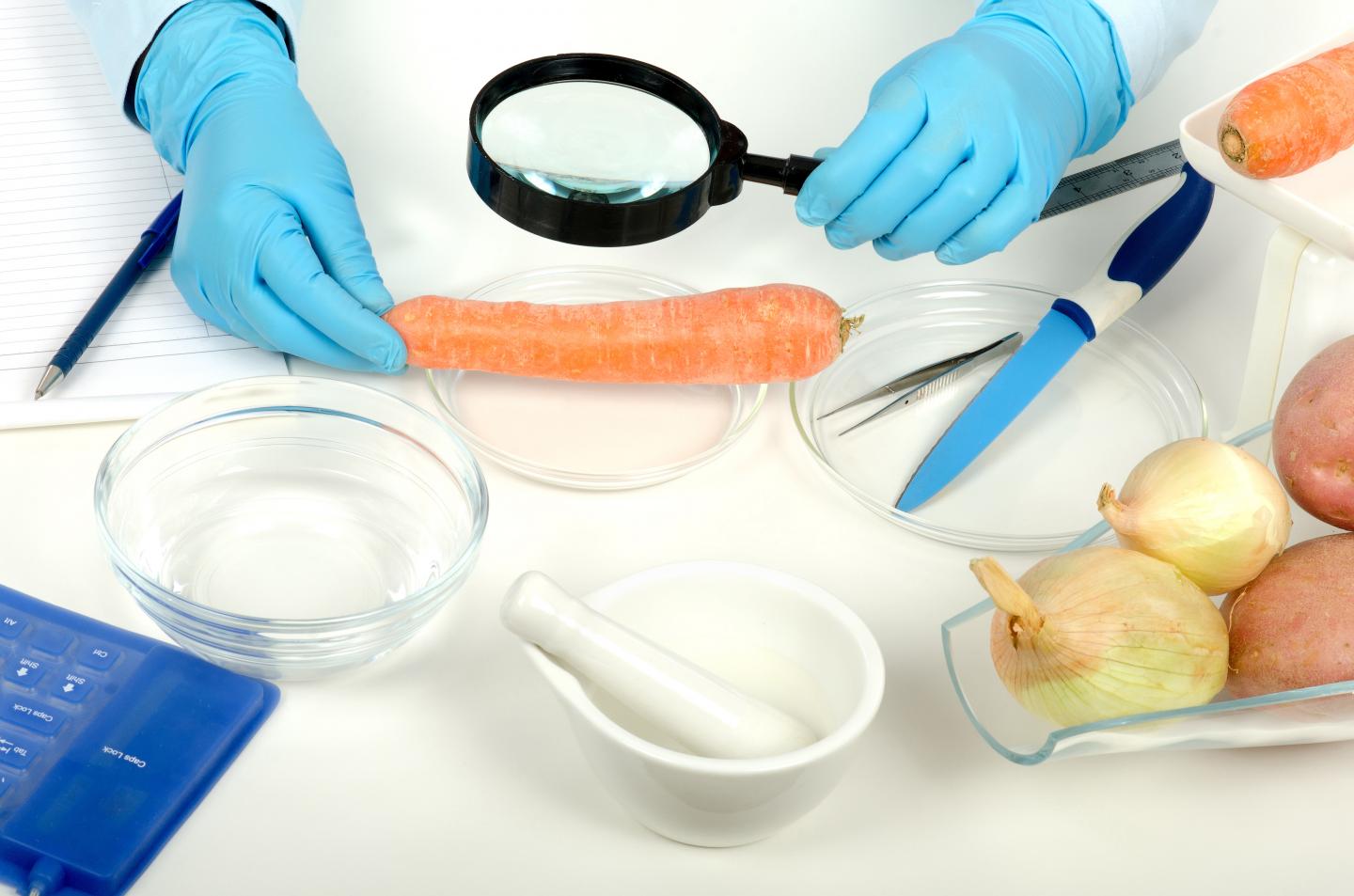 Carrots in the Laboratory