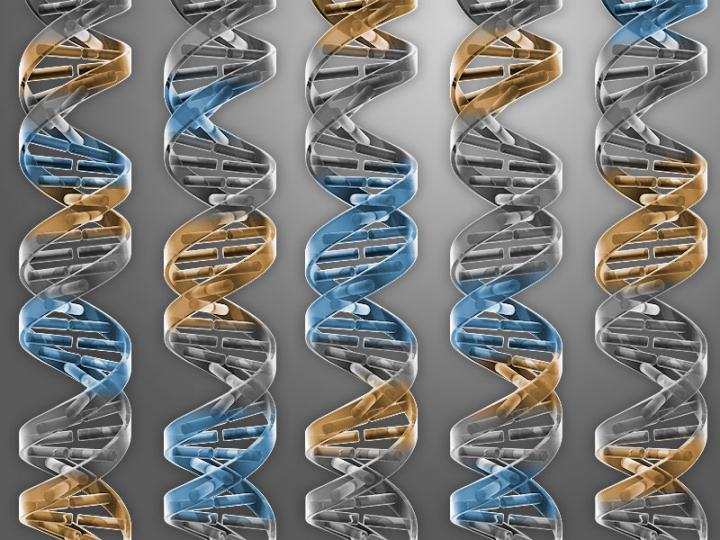 CRISPR Gene Editing Takes on Rare Immunodeficiency Disorder