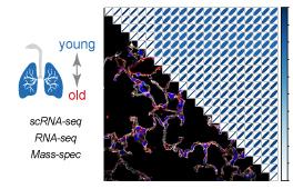 Multi-Omics Analysis of Lung Aging