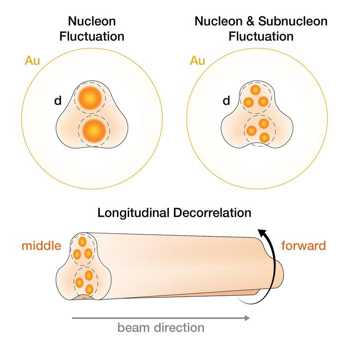 schematic illustration of longitudinal variation in quark gluon plasma