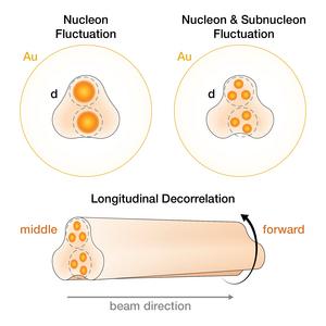 schematic illustration of longitudinal variation in quark gluon plasma