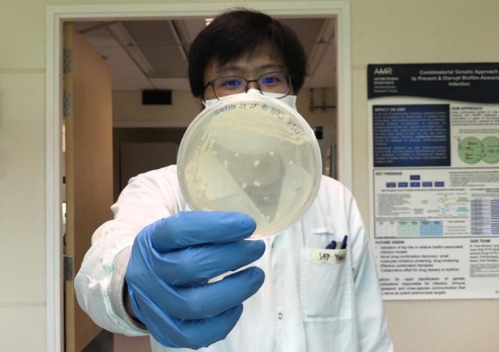 SMART AMR Study Finds that Exposing Bacteria to H2S Can Increase Antimicrobial Sensitivity