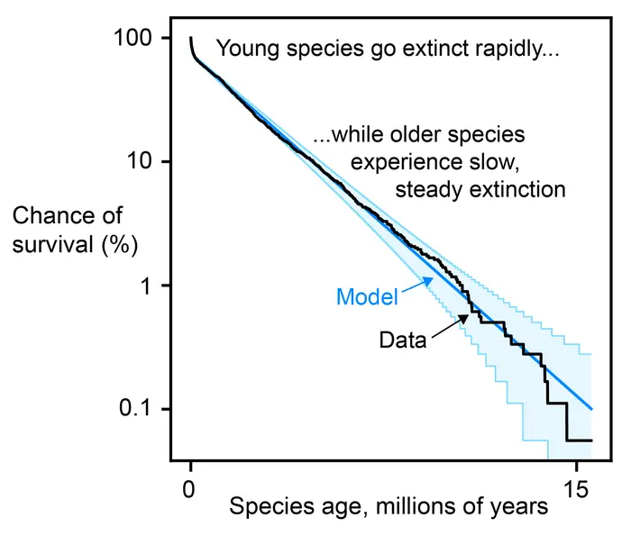 Age-dependent extinction