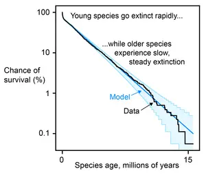 Age-dependent extinction