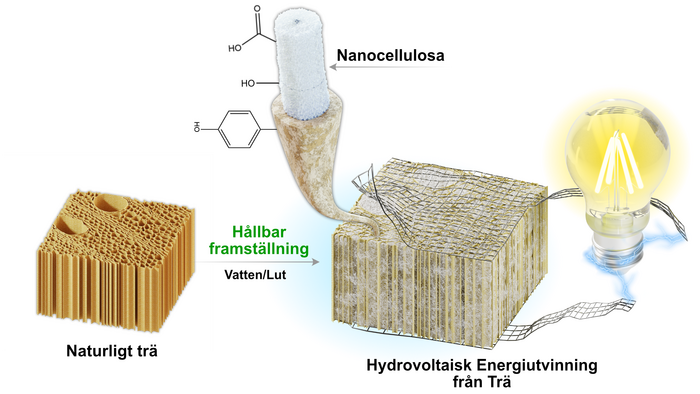 Schematic of formation of wood power generators