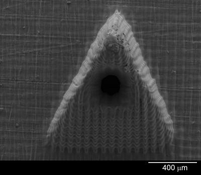 Microneedle Sensor