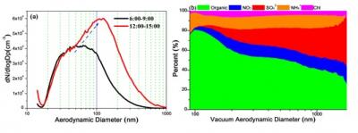 Particle Number Size Distributions