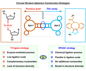 The comparison of T4 ligase-based method and SPAAC-based method.