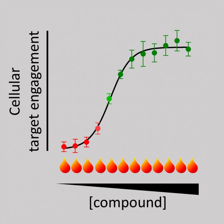 High-throughput CETSA to Measure Intracellular Compound Target Engagement in Early Drug Discovery