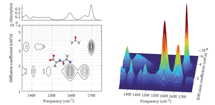 IR-DOSY spectra of a mixture of acetone and dialanine, showing which IR peak belongs to which compound