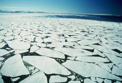 Arctic Sea Ice