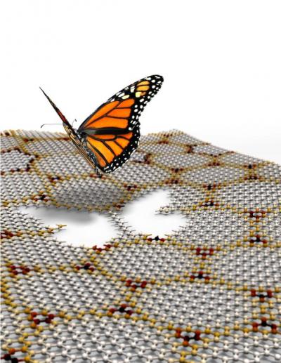 Hofstadter Butterfly Fractal in Graphene Moir&#233; Superlattices