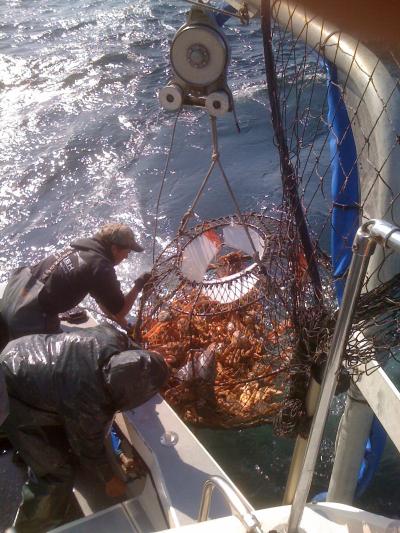 Crab Fishing