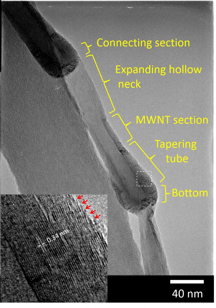 Transmission Electron Microscope Image of Carbon Nanopots