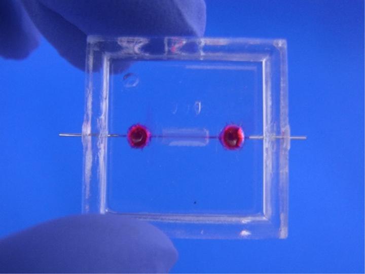 The Microvessel-on-a-chip