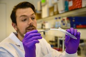 Researcher holding artificial regenerative blood vessel