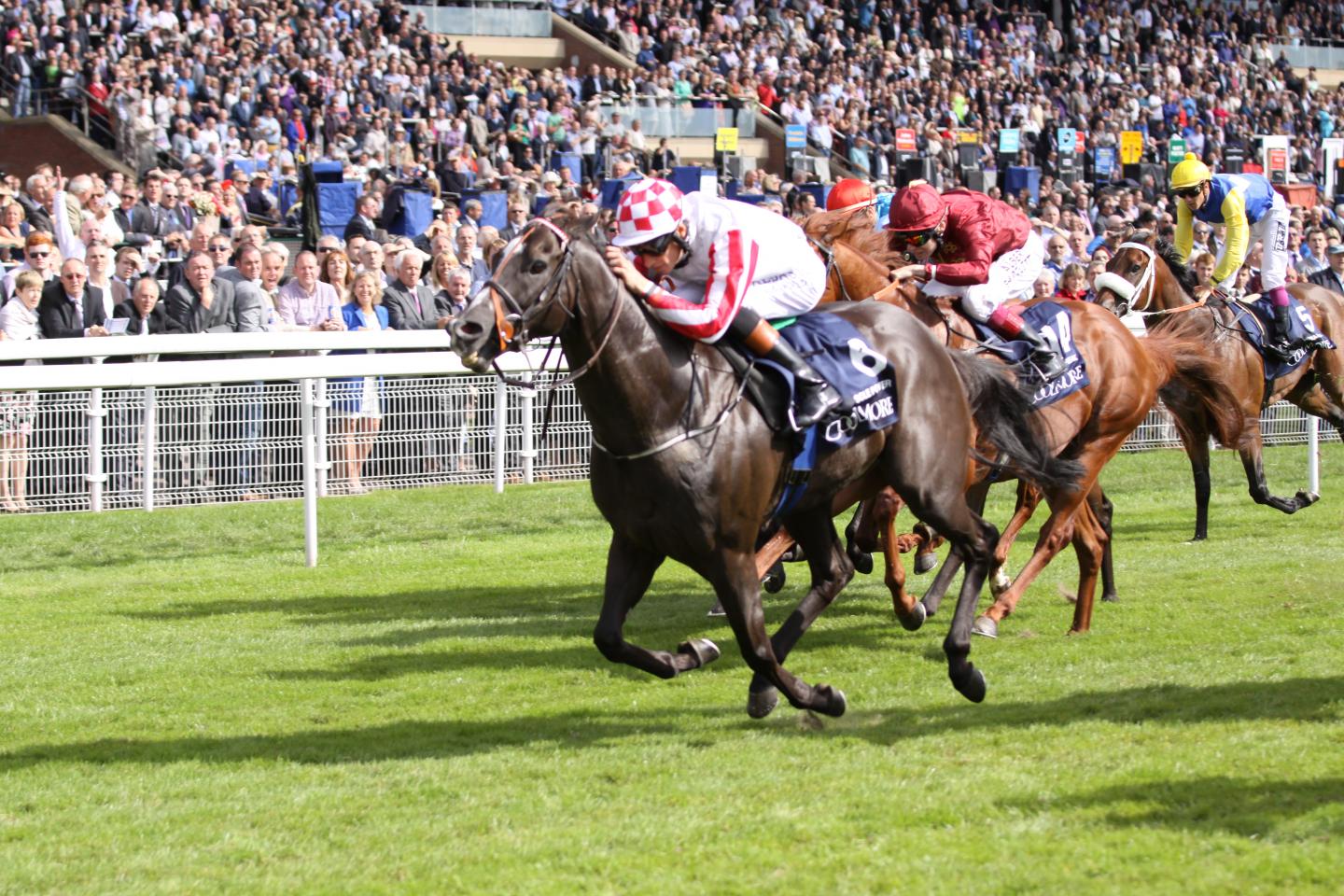 Sole Power Winning the Nunthorpe Stakes, 2014