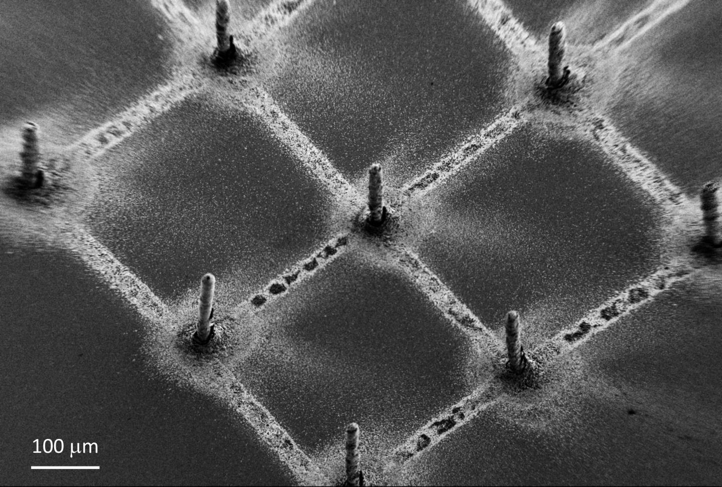 Example of the deposited perovskite pillars, defining a pixel for the creation of an image.