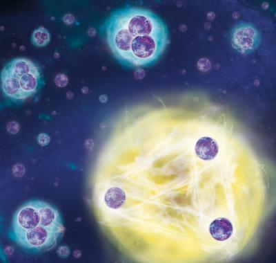 The Mysterious Efimov Scenario