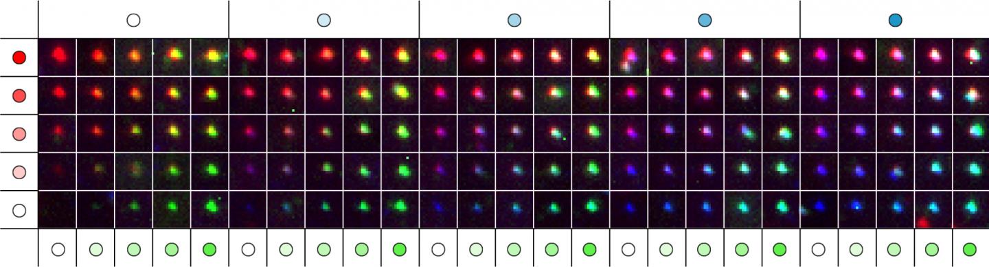 Metafluorophore Palette