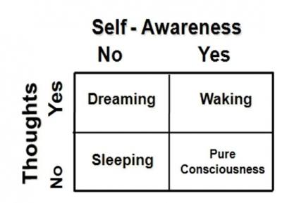 Comparison of Subjective and Objective Experiences