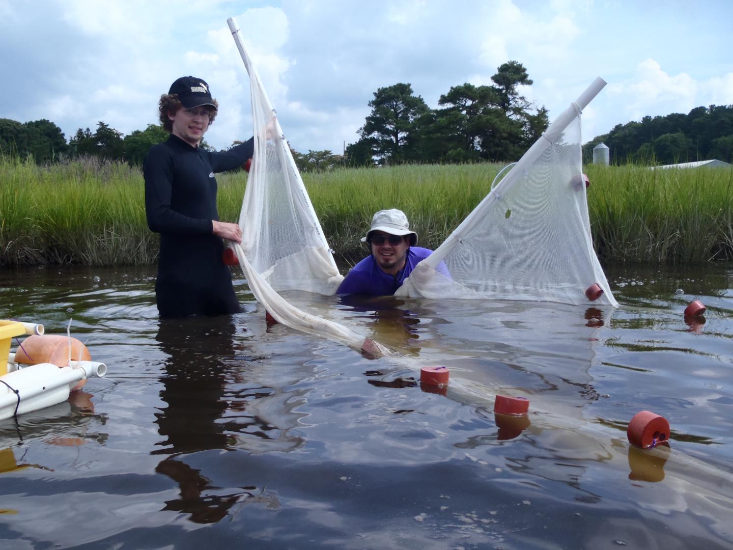 Seth Miller and Andrew Keppel, Smithsonian Environmental Research Center