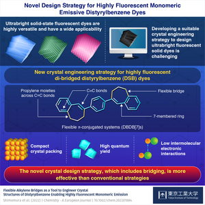 Novel Design Strategy for Highly Fluorescent Monomeric Emissive Distyrylbenzene Dyes