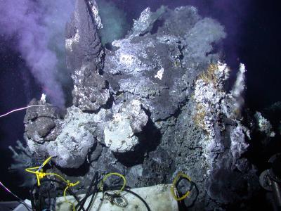 Inferno Vent at Axial Volcano