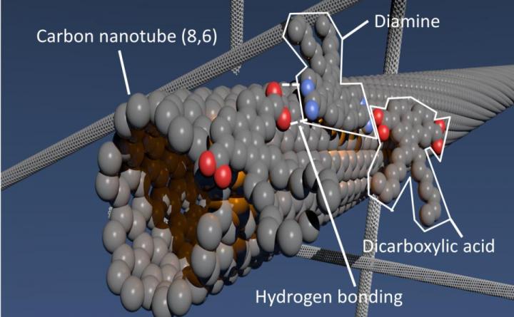 Polymer Grows on Nanotube Surface