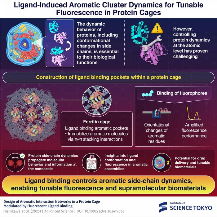 Ligand-induced aromatic cluster dynamics for tunable fluorescence in protein cages