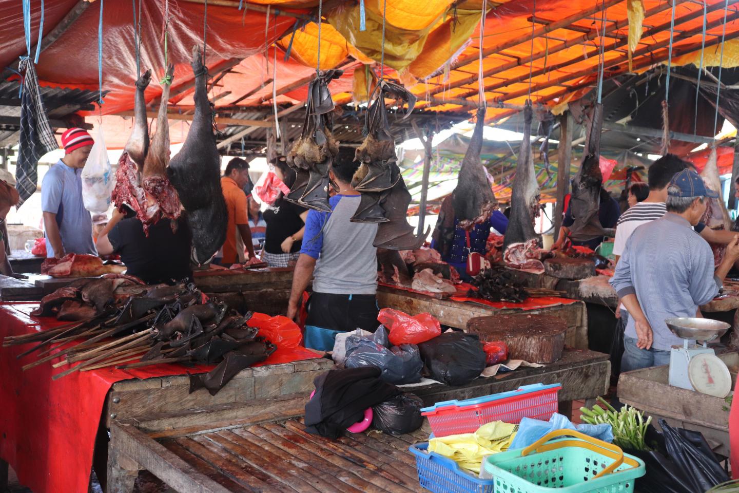 Bats in Indonesian market