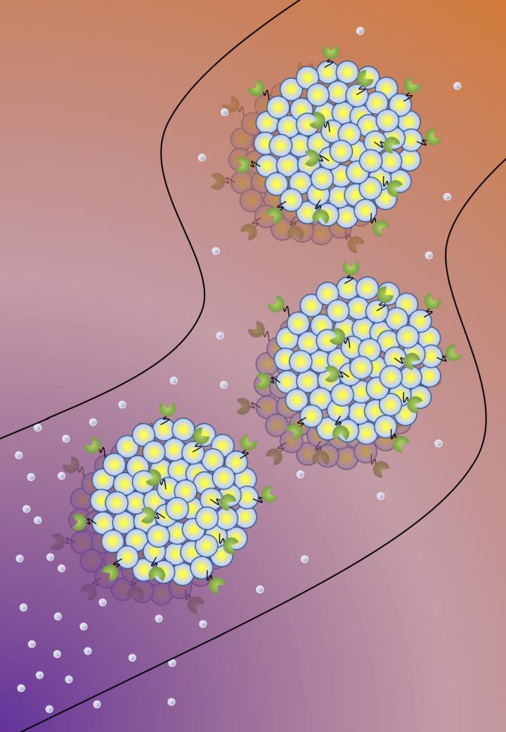 Protocell Tunable Chemotaxis