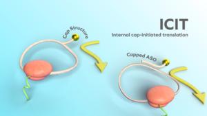 New mRNA produces 200 times more protein