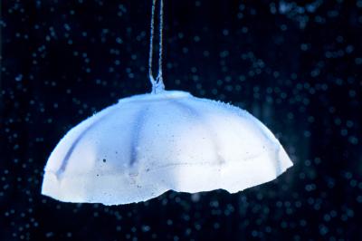 A Robotic Jellyfish