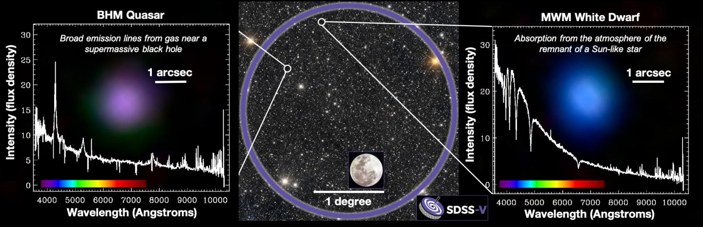 SDSS-V First Light