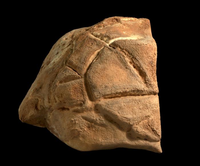 A turtle shell-shaped rock with geometric carvings.