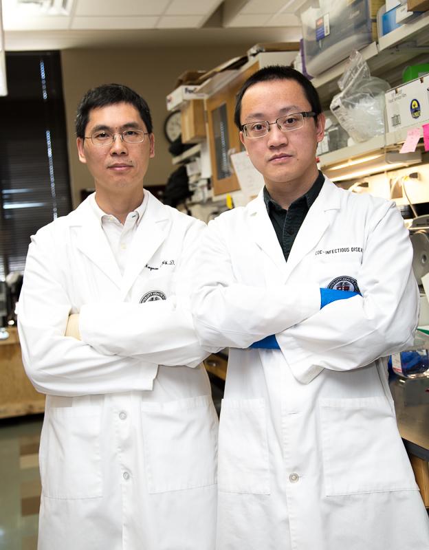 Researchers Enhance CRISPR