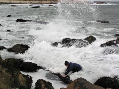 Researcher in Rushing Tide