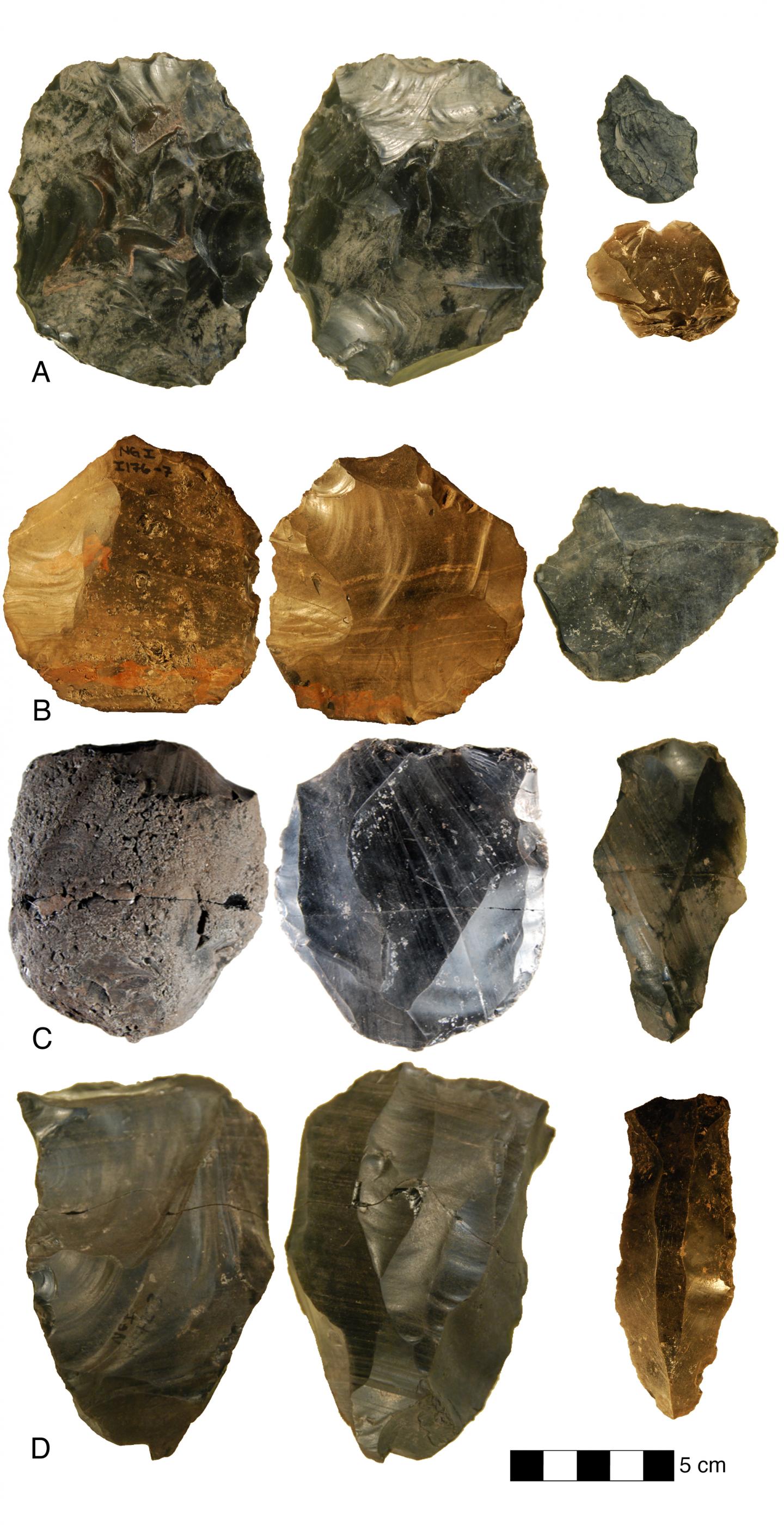 Stone Tool-Making Method Evolved Simultaneously in Different Groups (4 of 5)