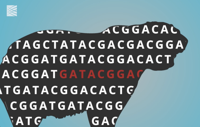 genomes-from-240-mammalian-species-reveal-wha-eurekalert-vwin