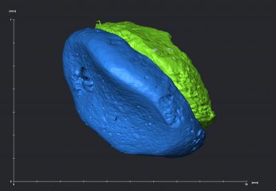 Denisovan Genome Sequenced (10 of 12)